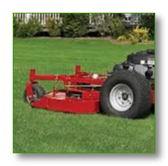 Reasons to Invest in Professional Lawn Care in Milwaukee, WI