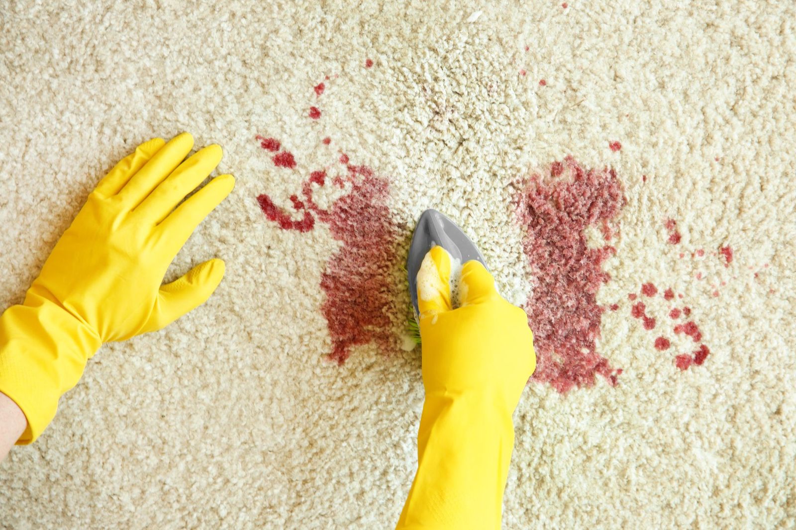 Traits Required for Washington Crime Scene Cleanup