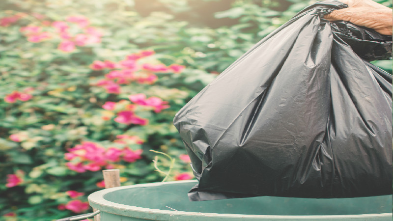 Top-Notch Waste Management Residential Pickup in Hampton, GA, Is Reliable and Cost-Effective