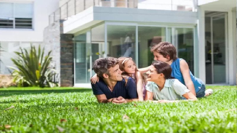 What to Know about Lawn Fertilization in Louisville, KY