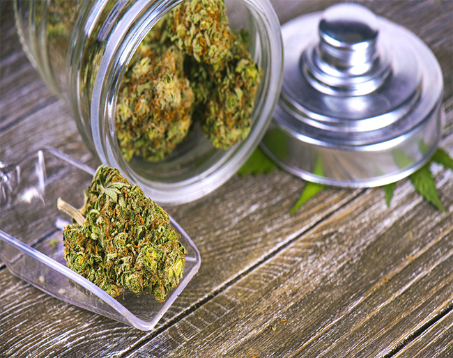 How to Choose the Best Cannabis Delivery Service in San Francisco?