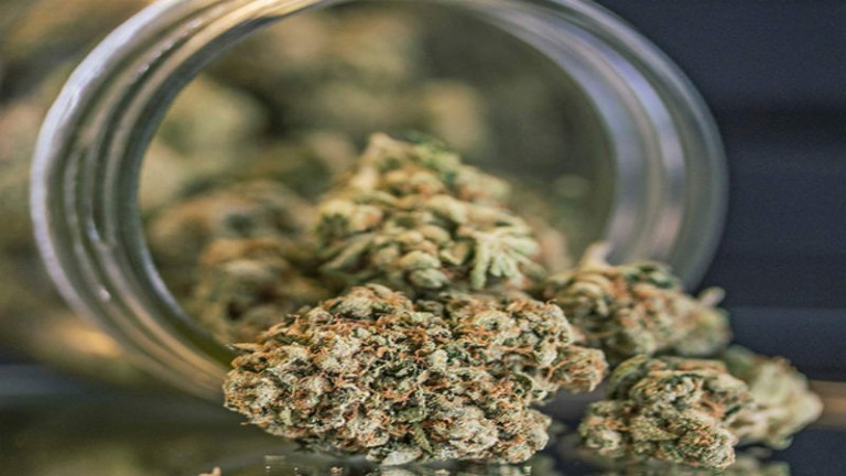 Dispensary Marketing Strategies That Actually Work in Colorado