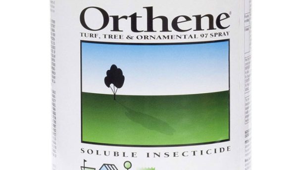 Products Such as Orthene Help Create Great Gardens