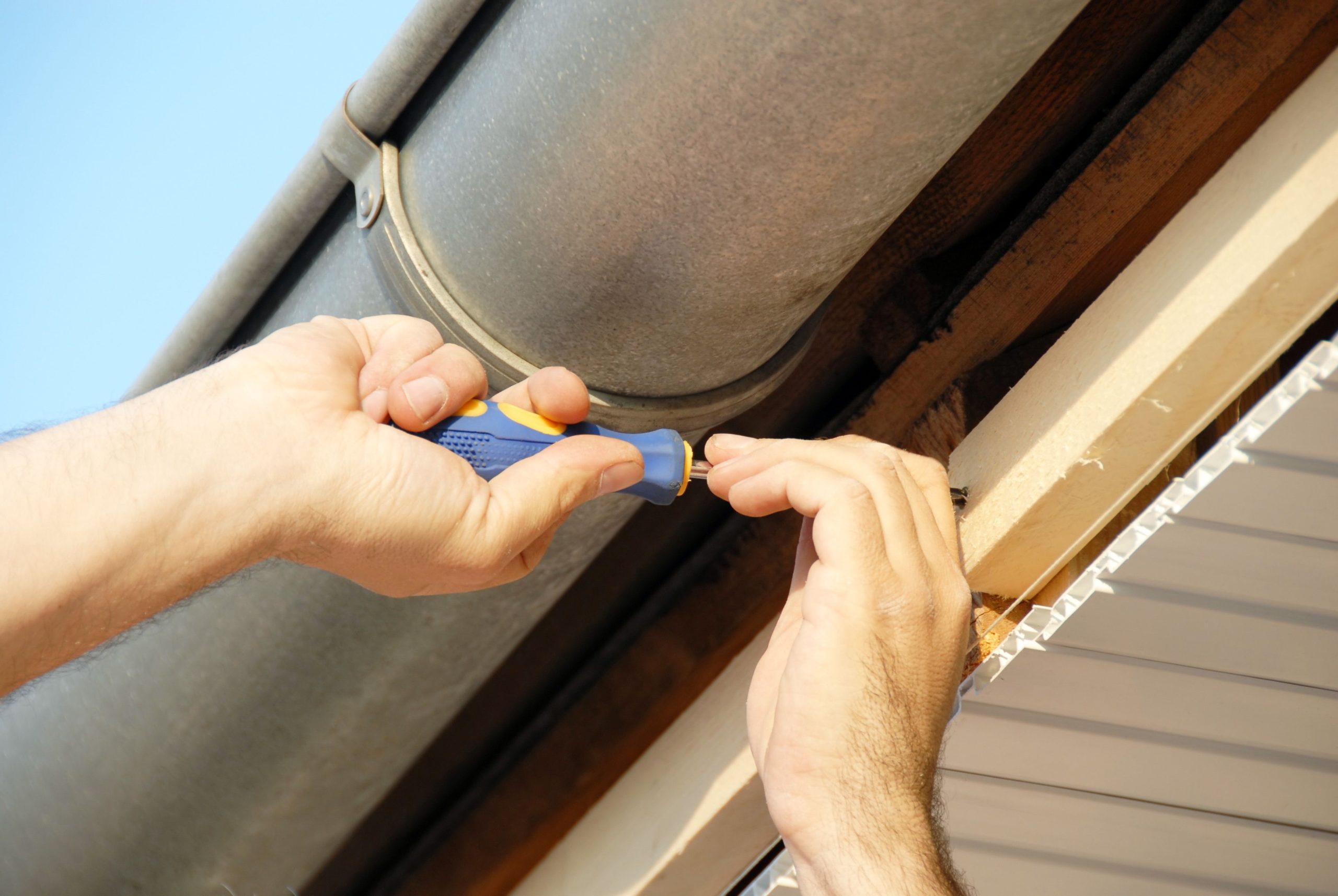 4 Tips to Detect Mold Damage from Expert Gutter Contractors Near Alexandria, MN
