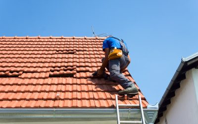 Securing Your Business: The Role of a Commercial Roofer in Orlando, FL