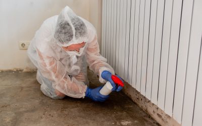 Achieving Sustainable Living Through Home Insulation in Edmonds, WA, Techniques