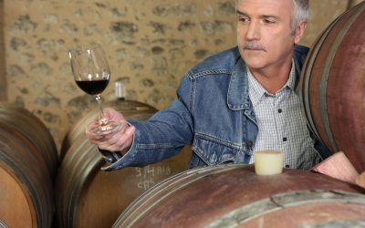 Savor Award-Winning Wine in San Diego, CA, for Unforgettable Tastings and Scenic Views