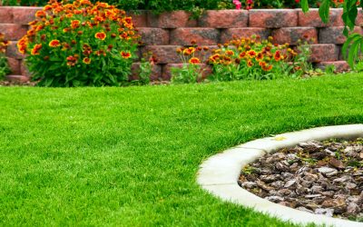 Find the Best Landscaping Companies Aurora CO for Beautiful Outdoor Spaces
