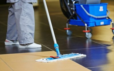 Find Satisfaction In A Pristine Home With Solutions From Home Cleaning Services In Folsom, CA