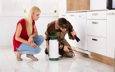 Protect Your Home from Pests with a Trusted Exterminator Cedar Grove NJ Residents Rely On