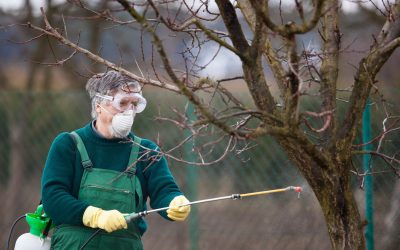 Achieve Precise Lawn Care Results with a Fertilizer Spreader For UTV on Your Property