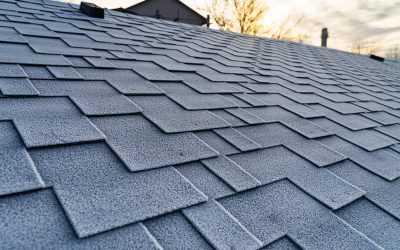 Choosing the Right Roofing Company in Denver, CO for Lasting Home Value