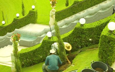 Design inspiration every landscaper in Minnetonka, MN, wants you to consider this season