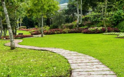Minneapolis Lawn Services Bring Professional Care to Your Front and Back Yard