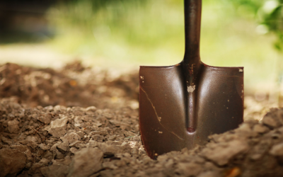 How To Achieve A Lush Lawn With Weed Control In Gainesville, VA, Solutions