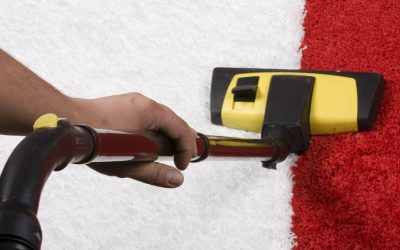 The Benefits of Hiring a Carpet Cleaning Company Tampa FL for Busy Families