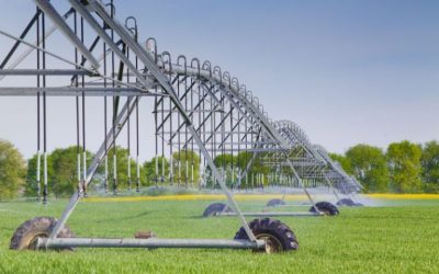How an AI Driven Farm Management System Simplifies Daily Farm Operations