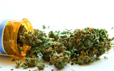 Shopping Safely for Cannabis at a Marijuana Shop in Grand Junction, CO, with Friendly Service