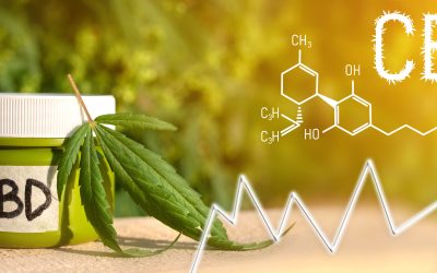 Find Quality THC Edibles For Sale Dallas TX and Enjoy a Tasty Wellness Experience