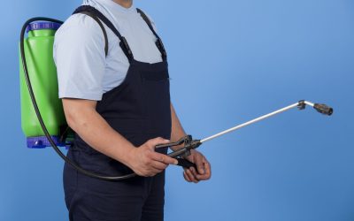Safeguard Your Home with Pest Control Services Sarasota FL for Lasting Peace of Mind