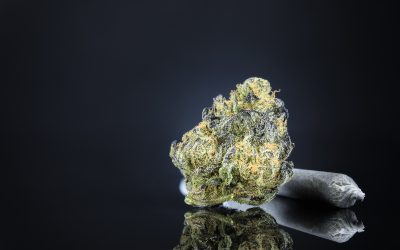 Unlock New Sensory Experiences with Exotic Runtz THCA Flower and Enhance Your Relaxation Routine