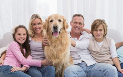Apartments Dayton OH With Pet Friendly Policies Perfect for Families and Animal Lovers