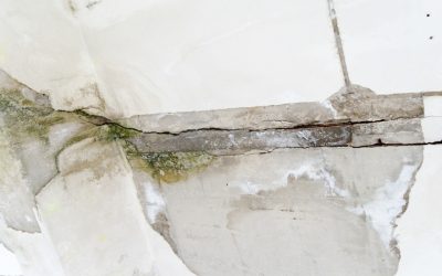 Protect Your Family Using Mold Remediation Services in Riverton, WY for a Safer Environment