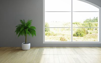 Five Reasons Homeowners Choose a Window Supplier Dallas for Lasting Quality