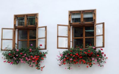 Enhancing Curb Appeal With Wood Windows in Dallas TX for Lasting Home Value